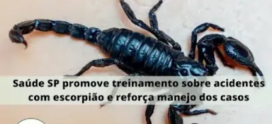 Sa�de SP promove treinamento sobre acidentes com escorpi�o e refor�a manejo dos casos